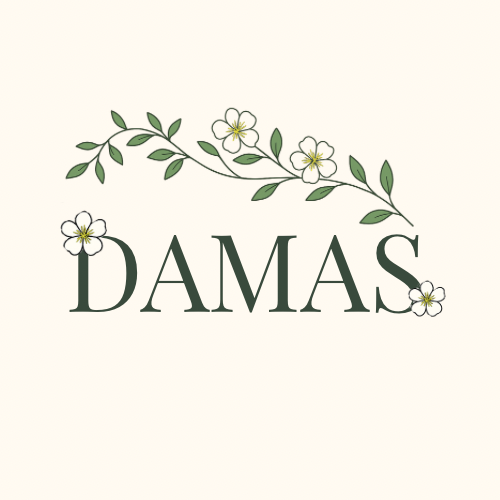 Damas modest fashion 